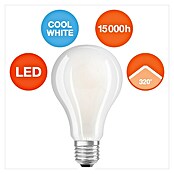 Osram LED-Lampe Glühlampenform E27 matt (E27, Nicht Dimmbar, Kaltweiß, 3.452 lm, 24 W) | BAUHAUS