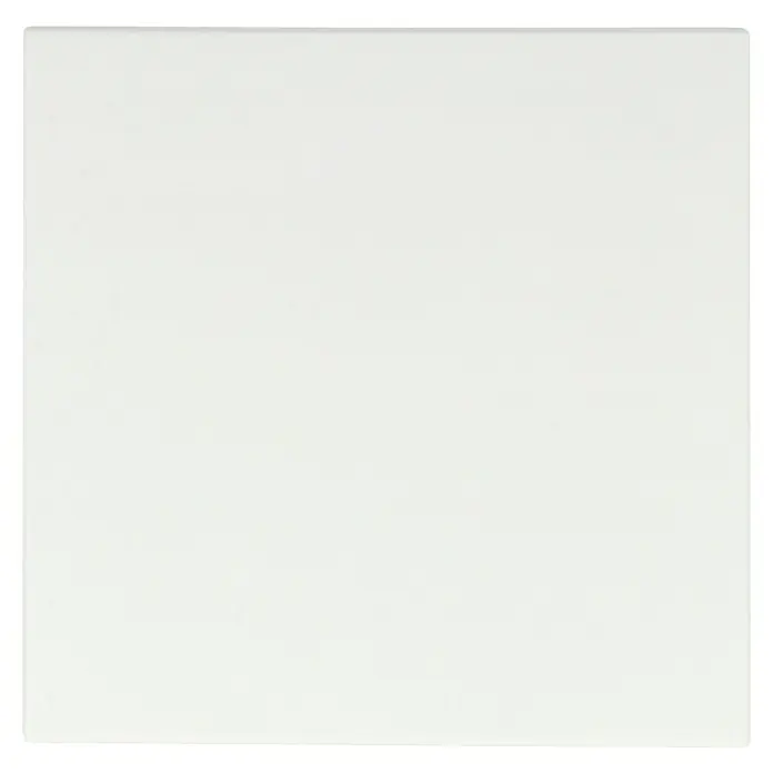 Berker S.1 Universalwippe 16201909 - Polarweiß matt, Kunststoff, IP20 - Quadratische, weiße Oberfläche, ideal als Hintergrund für Produktfotografie oder Präsentationen mit sauberem, minimalistischem Look.