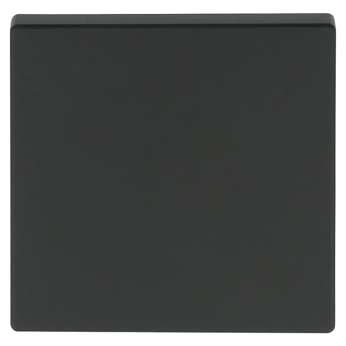 Busch-Jaeger Future Linear Universalwippe 1786-885 - Schwarz matt, Kunststoff - Ein quadratischer, mattschwarzer Block, möglicherweise aus Kunststoff oder Metall, mit subtilen Lichtreflexionen.