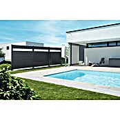 Biohort Sichtschutzelement mit Acrylglas (B x H: 180 x 180 cm, Stahl, Dunkelgrau Metallic) | BAUHAUS