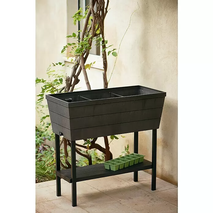 Keter Hochbeet Urban Bloomer - 82 x 38 x 78 cm, Kunststoff, Anthrazit - Stimmungsaufnahme