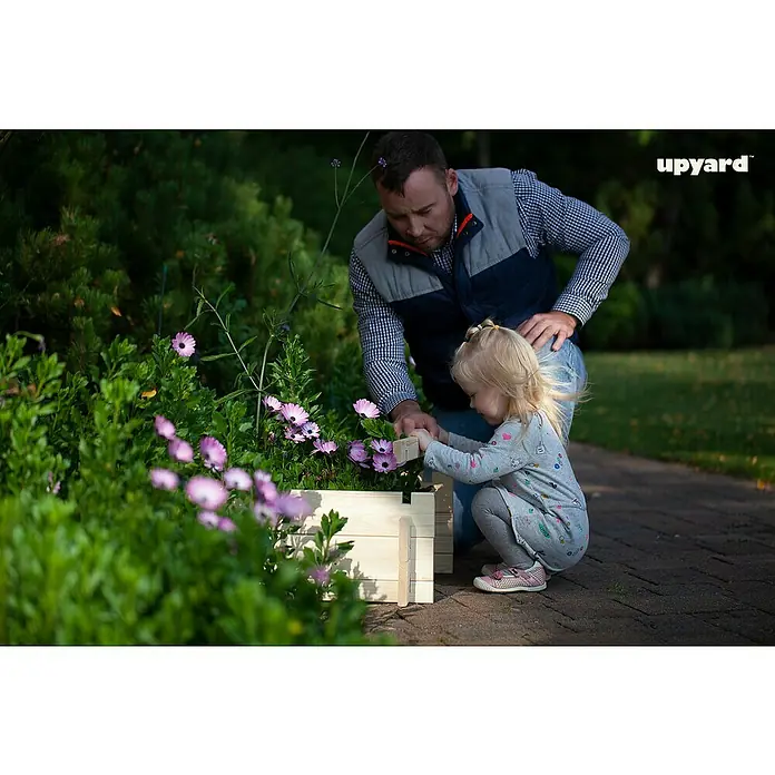 Upyard Hochbeet Multibox - L x B x H: 79 x 79 x 29,5 cm, Holz, Natur - Ein Vater hilft seiner kleinen Tochter, einen UpYard Pflanzkasten mit lila Blumen zu bepflanzen, während sie im Garten knien.