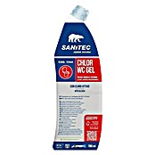 Sanitec Čistilo za stranišče  (700 ml) | 7136 - Spezialreinigung | HHCA - Reinigungsmittel | HHC - Reinigung | HH - Reinigung | H - Innendeko/Farben | BAUHAUS