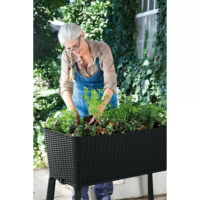 Keter Hochbeet Easy Growing - 114 x 49,3 x 75,7 cm, Kunststoff, Dunkelgrau - Frau bepflanzt schwarzes Hochbeet in Rattan-Optik, gefüllt mit Kräutern und Tomaten.