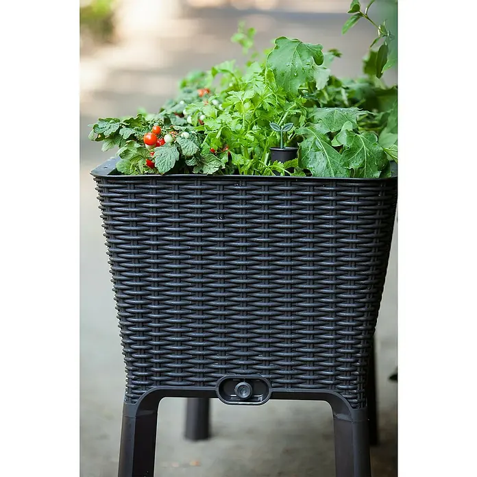 Keter Hochbeet Easy Growing - 114 x 49,3 x 75,7 cm, Kunststoff, Dunkelgrau - Erhöhtes Kräuterbeet aus schwarzem Rattan mit verschiedenen Kräutern und Gemüsesorten, ideal für den Garten oder Balkon.