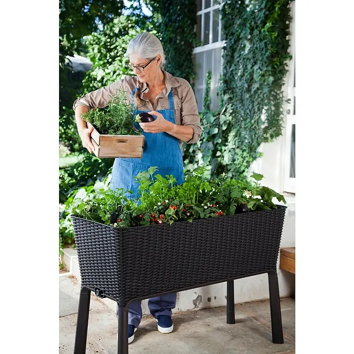 Keter Hochbeet Easy Growing - 114 x 49,3 x 75,7 cm, Kunststoff, Dunkelgrau - Frau mit Hochbeet mit Gemüse, Kräutern & Tomaten. Das erhöhte Design schont den Rücken & ermöglicht bequemes Gärtnern im Freien.