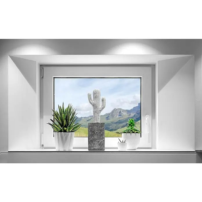 Glorex Keratex Gipsbinde - 5 m x 10 cm, 125 g, Weiß - Dekorative Fensterbank mit Sukkulenten und einem dekorativen Kaktus, der einen Hauch von Natur in Ihr Zuhause bringt.