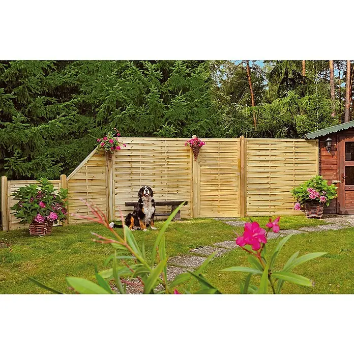 T & J Sichtschutzelement - 100 x 90/180 cm, Holz, KDI Grün - Ein sonniger Garten mit einem Holzzaun, dekoriert mit Blumenkörben, und einem Berner Sennenhund, der auf einer Bank sitzt.