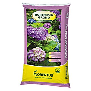 Florentus Hortensiagrond (20 l)