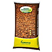 Florentus Boomschors (40 l) | BAUHAUS