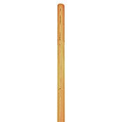 T & J Sichtschutzelement Daan (B x H: 14,5 x 180 cm, Holz, Braun) | BAUHAUS