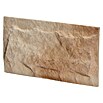 Stegu Verblendstein Roma 1 (16 x 28,5 cm, Beige, Steinoptik) | BAUHAUS