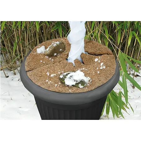 Kokosmulchscheibe