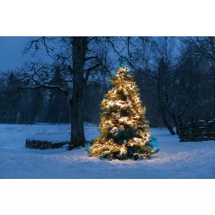 Konstsmide LED-Clusterlichterkette Micro LED Cluster - Außen, Länge: 9,3 m, 576 Stk., Netzbetrieben, Lichtfarbe: Bernstein - Ein beleuchteter, verschneiter Weihnachtsbaum im Freien, in einer winterlichen Schneelandschaft bei Dämmerung.