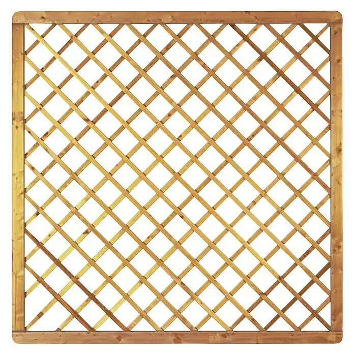 T & J Sichtschutzelement Avantgarde - B x H: 180 x 180 cm, Kessdeldruckimprägniert, Holz - Quadratisches Holzspalier mit diagonalem Gittermuster, ideal für Kletterpflanzen.