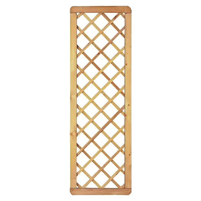 T & J Sichtschutzelement Avantgarde - B x H: 60 x 180 cm, Kessdeldruckimprägniert, Holz - Helles Holz-Rankgitter mit diagonalem Gittermuster.