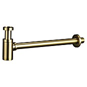 Imex Sifón de botella cilíndrico (Oro, Cepillado) | BAUHAUS