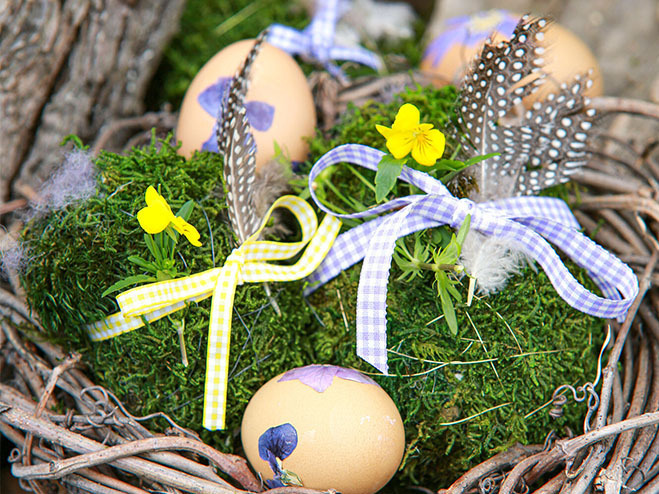 Osterdeko: Eier in einem Moosbett mit Federn