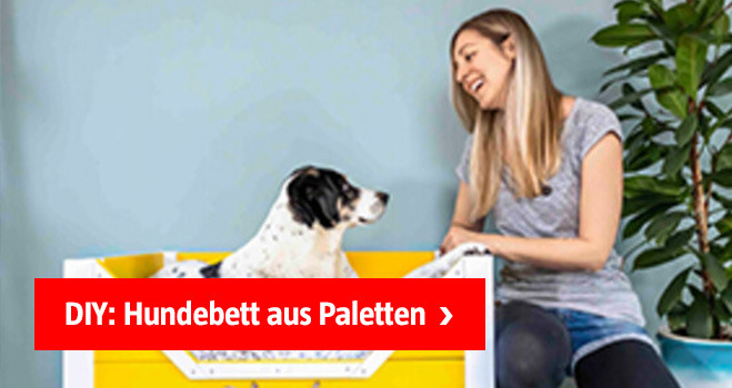 Empfehlungsteaser DIY: Hundebett aus Paletten
