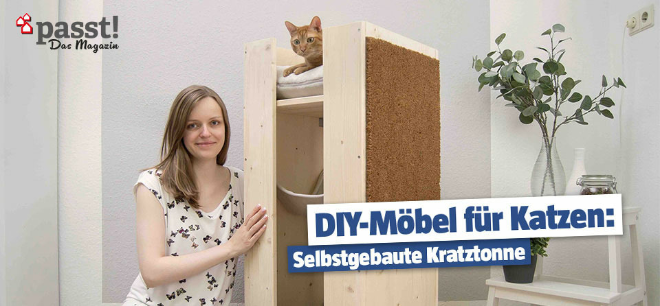 Selbstgebaute Kratztonne für Katzen