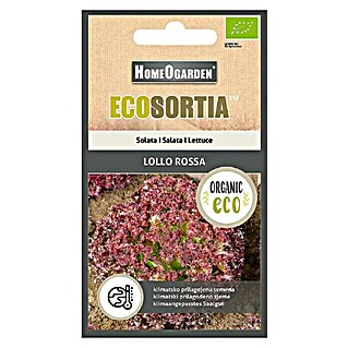 HomeOgarden Sjeme salate Ecosortia Lollo Rossa (Lactuca sativa, Berba: Svibanj - Rujan)