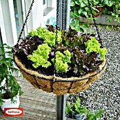 Bellissa Blumenampel Hanging Basket inkl. Einsatz (Ø x H: 55 x 20 cm, Metall, Schwarz) | BAUHAUS