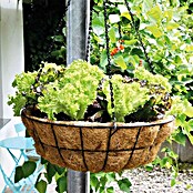 Bellissa Blumenampel Hanging Basket inkl. Einsatz (Ø x H: 55 x 20 cm, Metall, Schwarz) | BAUHAUS