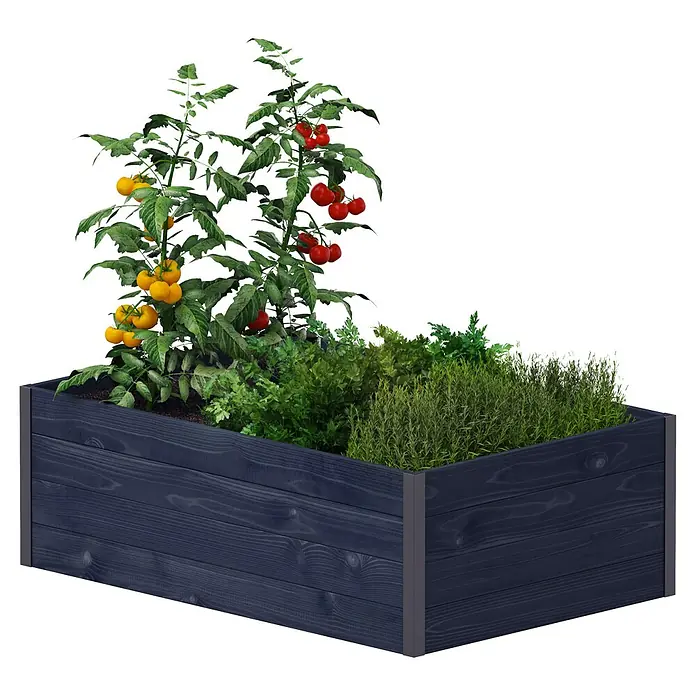 Upyard Hochbeet Gardenbox I-Box - 120 x 80 x 40 cm, Holz, Schwarz - Ein erhöhtes Gartenbeet aus Holz, bepflanzt mit Tomatenpflanzen und verschiedenen Kräutern, ideal für den Anbau auf kleinem Raum.