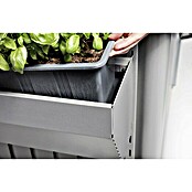 Biohort Blumenkasten (Länge: 82 cm, Quarzgrau Metallic)