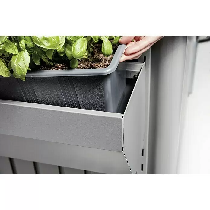 Biohort Pflanzkasten FloraBoard - Länge: 82 cm, Quarzgrau-Metallic - Detailaufnahme