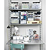 SmartStore Aufbewahrungsbox (L x B x H: 21 x 17 x 6 cm, Kunststoff, Transparent)