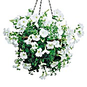 HANGING BASKET      D.35 cm OHNE EINS***