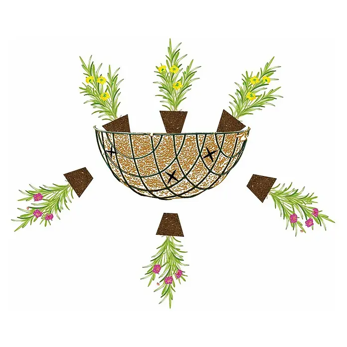 Bellissa Blumenampel Hanging Basket - Ø x H: 30 x 15 cm, Metall, Schwarz - Illustration eines hängenden Pflanzkorbs mit gelben und pinken Blumen.