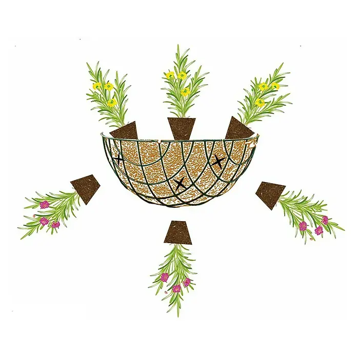 Bellissa Blumenampel Hanging Basket - Ø x H: 35 x 15 cm, Metall, Schwarz - Hängekorb mit gelben und pinken Blumen. Der Korb besteht aus Kokosfasern und Metalldraht, was ein natürliches Aussehen erzeugt.