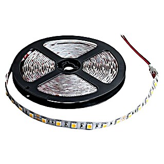 Alverlamp Tira LED IP65 (Largo: 5 m, Color de luz: Blanco frío, 14,4 W)