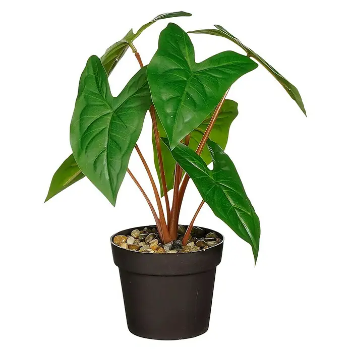 Planta artificial Syngonium - Ø x Al: 25 x 30 cm, Plástico - Planta de interior en una maceta. La planta tiene hojas grandes y verdes y tallos marrones, plantada en una maceta marrón con guijarros.