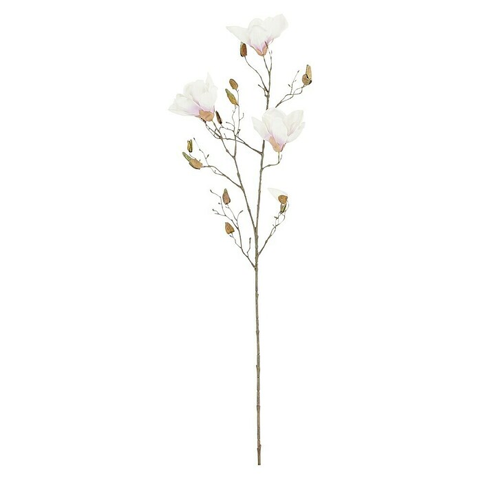 Flor artificial Magnolia (Altura 88 cm, Crema) BAUHAUS