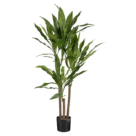 Planta artificial Dracena