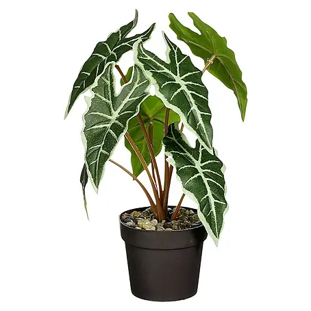 Planta artificial Alocasia