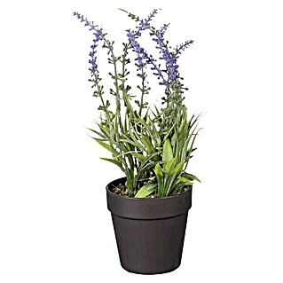Planta artificial Lavanda (Ø x Al: 10 x 24 cm, Lila, Plástico)
