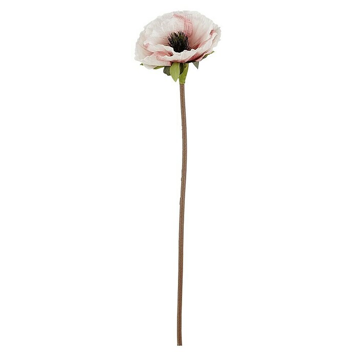 Flor artificial Amapola (Altura: 53 cm, Crema) | BAUHAUS