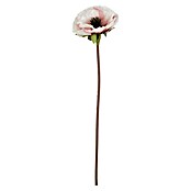Flor artificial Amapola (Altura: 53 cm, Crema) | BAUHAUS
