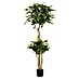 Planta artificial Ficus natasja 