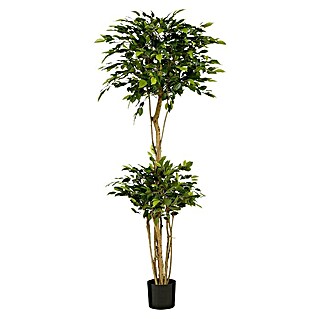 Planta artificial Ficus natasja (Ø x Al: 50 x 150 cm, Plástico)