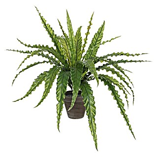 Planta artificial Helecho (Ø x Al: 66 x 54 cm, Plástico)