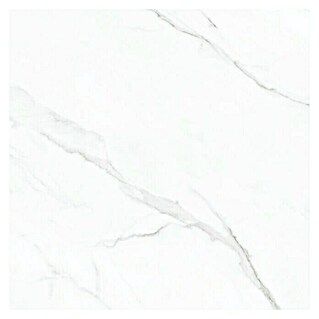 Pavimento porcelánico Quo Sivec (60 x 60 cm, Blanco, Mate, Rectificado)