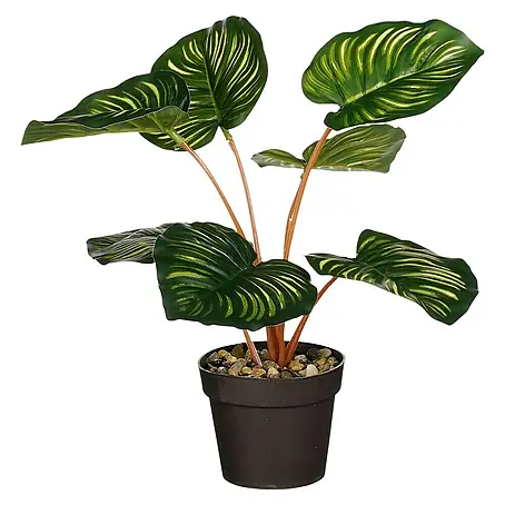 Planta artificial Calathea