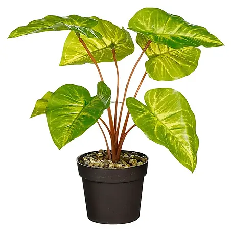 Planta artificial Calathea
