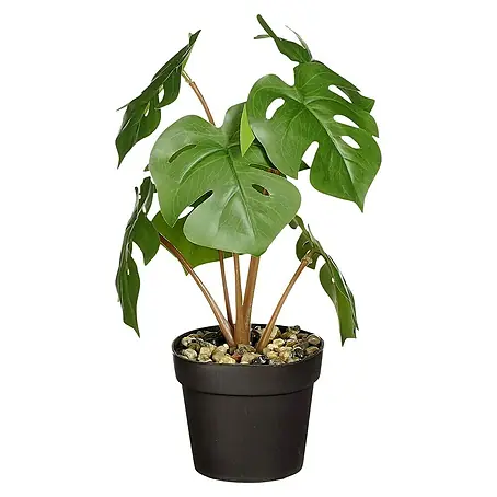 Planta artificial Monstera