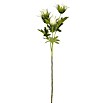 Kunstblume Distel (67 cm, Creme, Kunststoff) | BAUHAUS